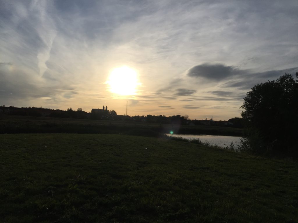 Våtmarkszonen i Esilkstuna precis när solen håller på att gå ned.