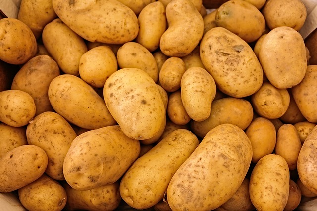 närbild på potatis