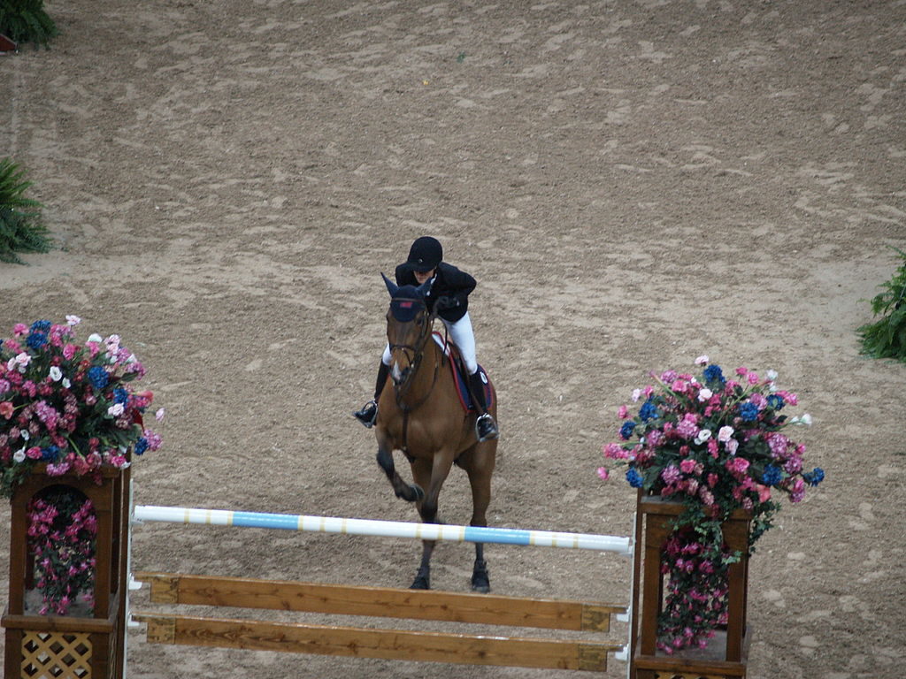 Malin Baryard Johansson hoppar över ett hinder under en tävling.