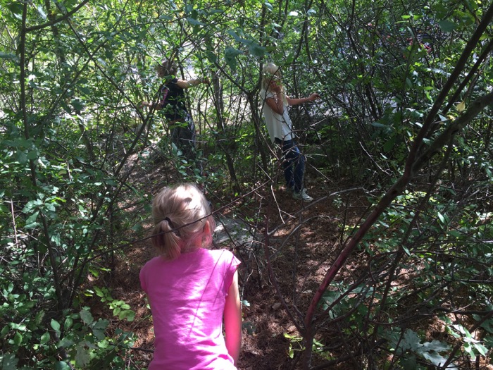 Barn leker i buskage