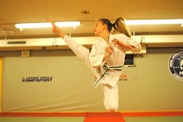 Foto på ju-jutsu-spark.