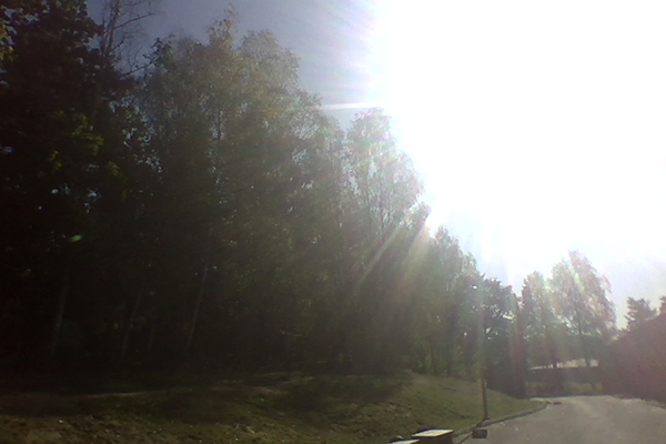 Foto från en skolgård i motljus.