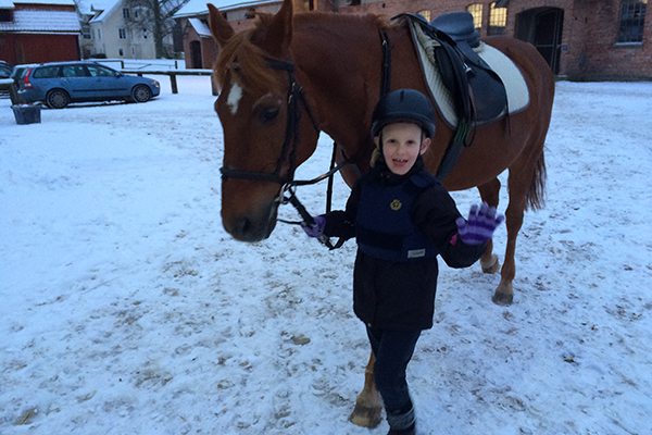 Foto på en brun häst och en liten flicka som leder honom.