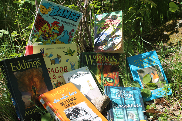 Foto på böcker och tidningar som ligger i gräset.