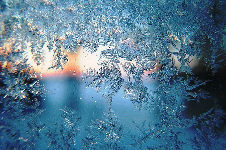 En fönsterruta som är full av iskristaller.