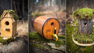 Vinnarna i SM i fågelholk