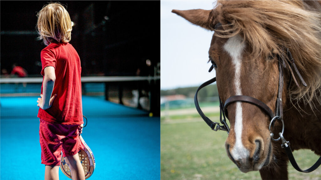 En pojke som spelar padel och en islandshäst