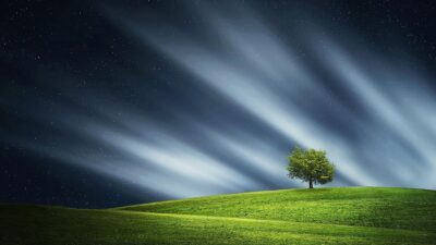 Novell: Natten vid Kultbohuskullen