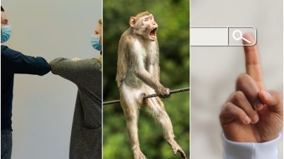 Collage på veckans nyheter