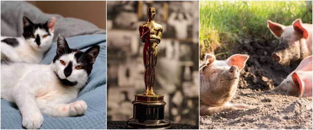 Kollage på veckans nyheter