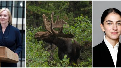 Kollage på veckans nyheter